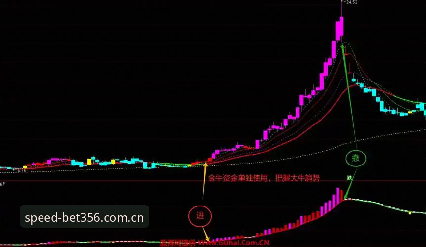 bet356中文版赛事评测 揭秘bet356中文版赛事评测:三个核心指标帮你决策